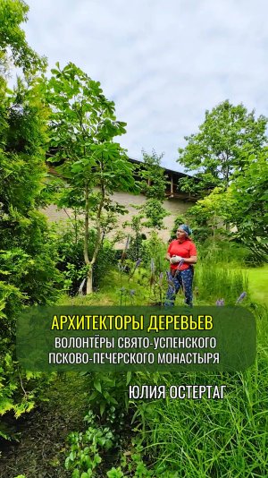 Архитекторы деревьев - волонтёры Свято-Успенского Псково-Печерского монастыря

Юлия Остертаг