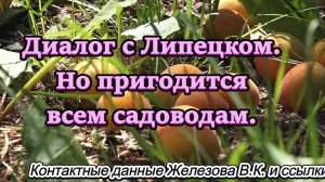 Диалог с Липецком. Но пригодится всем садоводам.