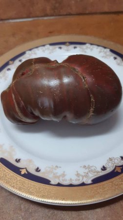 Восставший (Мятежный) Звездный Истребитель: лунный Свет Блейна, (США) - СУПЕР НОВИНКА.