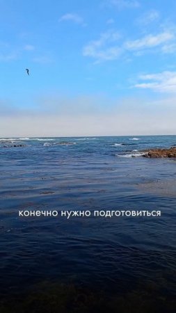 А как ваша мужчина относится к откровенным разговорам?