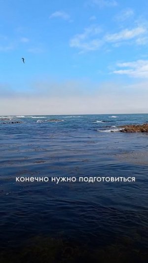 А как ваша мужчина относится к откровенным разговорам?
