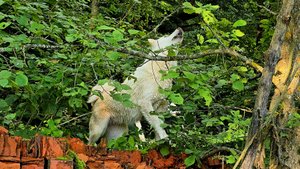 Скучаем по работе