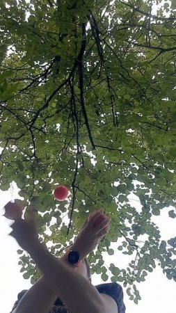 Заходи, тут много интересного