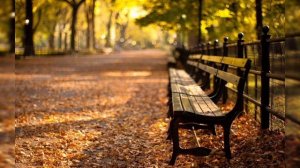 Разбитые мечты