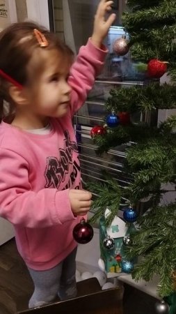 VID_20241212_192743