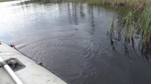 Рыбалка на спиннинг и самоловки!