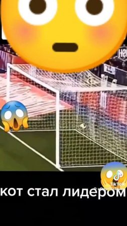 1000005080.mp4