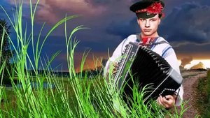 Где-то страдает гармошка