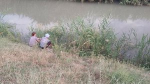 Рыбалка в Бишкеке,поймали огромную рыбу.Кыргызстан,Манас, ловим очень много рыбы