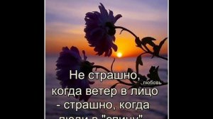 Песня  ВЕТЕР И Я