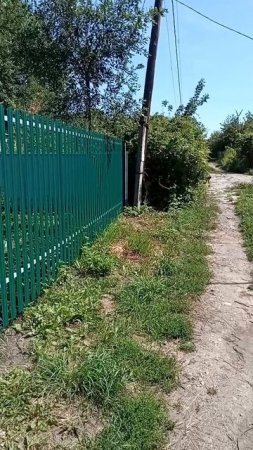 Июль 25 года, под симбирском