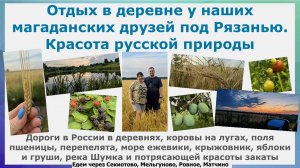 Отдых в деревне Матчино у магаданских друзей. Красота русской природы.Дороги России, коровы,пшеница