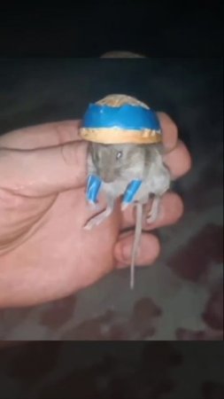 Жёсткий допрос пленного ВСУшника !!! Не для слабонервных !!!