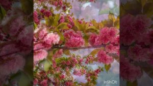 Аффирмации. Молодость