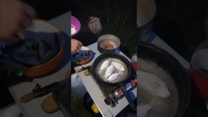 Рыбалка в Омске, озеро Тобол-Кушлы, карась 23.06-24.06
