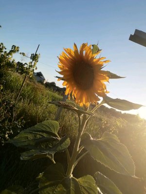 В лагере 😱😱😱