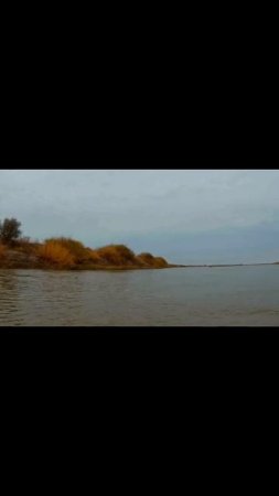 Сплав 2023. Река Сырдарья.