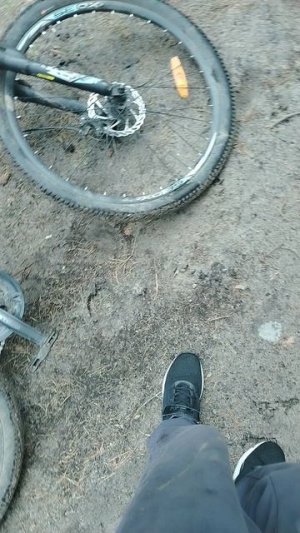1000005123.mp4