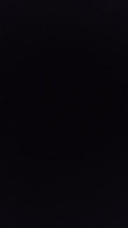 1000013635.mp4