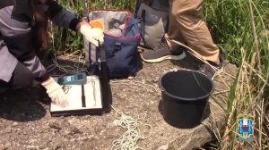 Полиция Ростовской области выявила экологические нарушения на угледобывающем предприятии