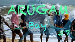 Шри-Ланка 🇱🇰 Аругам бей 🌴 Рыбалка на whisky point 🐟