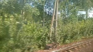 2449.mp4