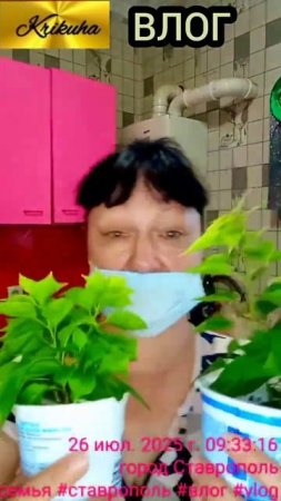 влог