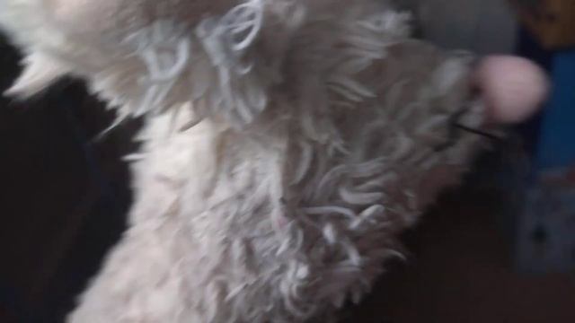 ОТВЕТЫ НА ВОПРОСЫ 2 ЧАСТЬ! смотреть онлайн