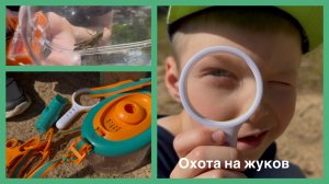 Охота на жуков 🪲