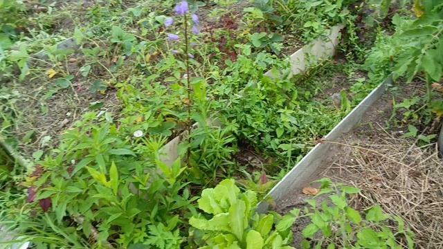 Отдых на море. 27.07.2025. смотреть онлайн