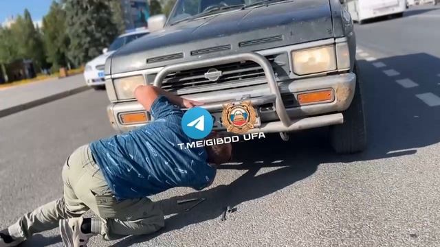 Уфимца оштрафовали за «кенгурятник» смотреть онлайн