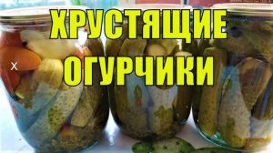 Хрустящие Огурцы на Зиму! Все просят этот ЛУЧШИЙ рецепт огурцов на зиму! Консервация огурцов на зиму