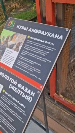 Язык сломала пока выговорила😂🤣