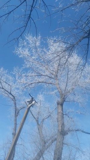 VID_20250115_120229