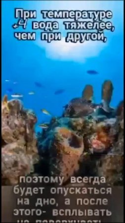 VID_20250726_210744_057.mp4