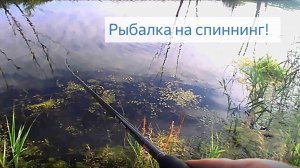 ПОЙМАЛ НЕМНОГО ОКУШКОВ НА РЕЧКЕ! * ловил рыбу на спиннинг*