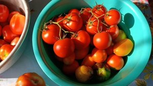 Июльские зарисовки