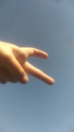 VID_20250726_094431.mp4