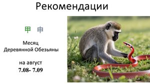 Рекомендации на август 2025г