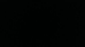 тралалэло тралала и все интальянские мемы песня.