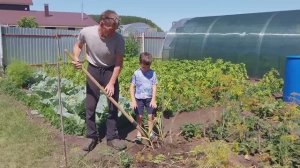 ОГОРОД ПУСТЕЕТ. ЖИЗНЬ В ДЕРЕВНЕ.