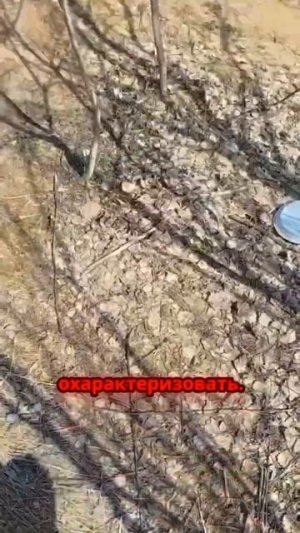 TG: nexpertGM Разве так можно??? #shorts #независимыйэксперт #георгиймедведев