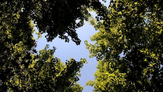 Лучшая МЕДИТАЦИЯ Храм Тишины Борьба со Стрессом Медитация для Начинающих Йога Елена Малова