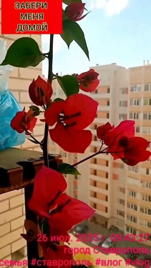 обзор