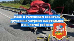 МВД: В Раменском водитель грузовика устроил смертельное ДТП, погиб ребенок