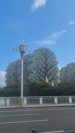 Хайнань Дома-деревья 
#travel