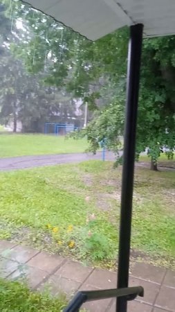 3688.mp4