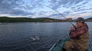 ВЕЧЕРНЯЯ РЫБАЛКА В ЗАЛИВЕ