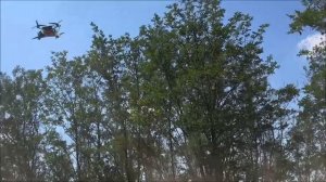 Операторы беспилотников 42-й гвардейской дивизии уничтожили два блиндажа с личным составом ВСУ.
