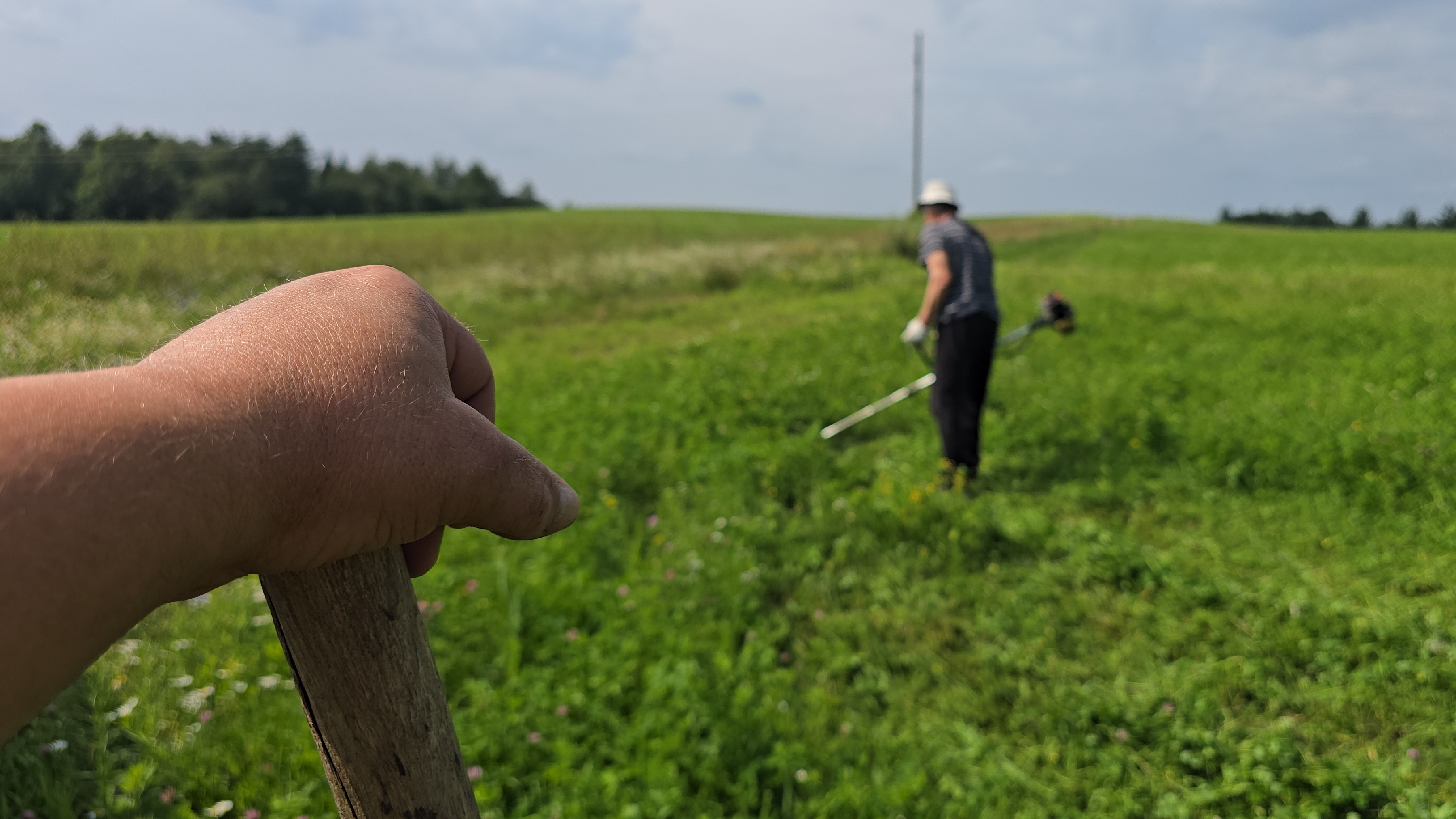 Косим траву для кроликов